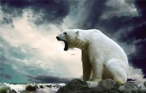 第二類醫(yī)療器械生產(chǎn)許可證很難申請(qǐng)嗎？(圖1)