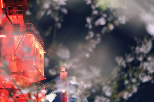 CRC喜歡和什么樣的CRA合作？(圖1)