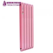 散熱器十大品牌哪家好:使節(jié)能發(fā)揮到極致！