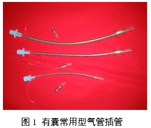 氣管插管產(chǎn)品注冊(cè)審查指導(dǎo)原則(2024修訂版)(2024年第21號(hào))(圖1) 氣管插管產(chǎn)品注冊(cè)審查指導(dǎo)原則(2024修訂版)(2024年第21號(hào))(圖1)