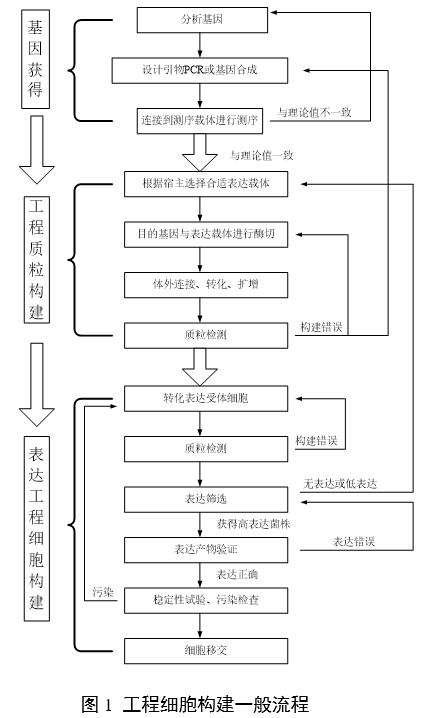 重組人源化膠原蛋白原材料評價指導原則(2023年第16號)(圖3) 重組人源化膠原蛋白原材料評價指導原則(2023年第16號)(圖3)