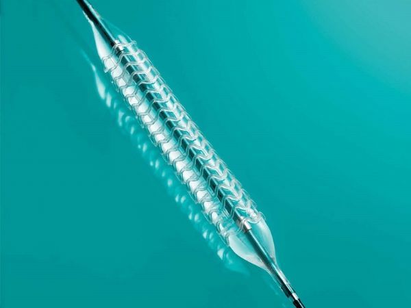 生物可吸收冠狀動(dòng)脈藥物洗脫支架動(dòng)物實(shí)驗(yàn)研究指導(dǎo)原則(2020年第48號(hào))(圖1) 生物可吸收冠狀動(dòng)脈藥物洗脫支架動(dòng)物實(shí)驗(yàn)研究指導(dǎo)原則(2020年第48號(hào))(圖1)