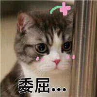 實(shí)驗(yàn)室原始記錄從哪里下手開始檢查？(圖2)