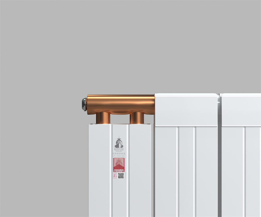 鋼鋁復(fù)合暖氣片